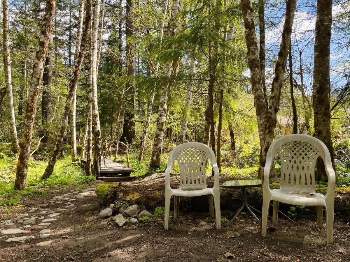 Mt Rainier Little Green Cabin On Big Creek! Ashford Exterior photo