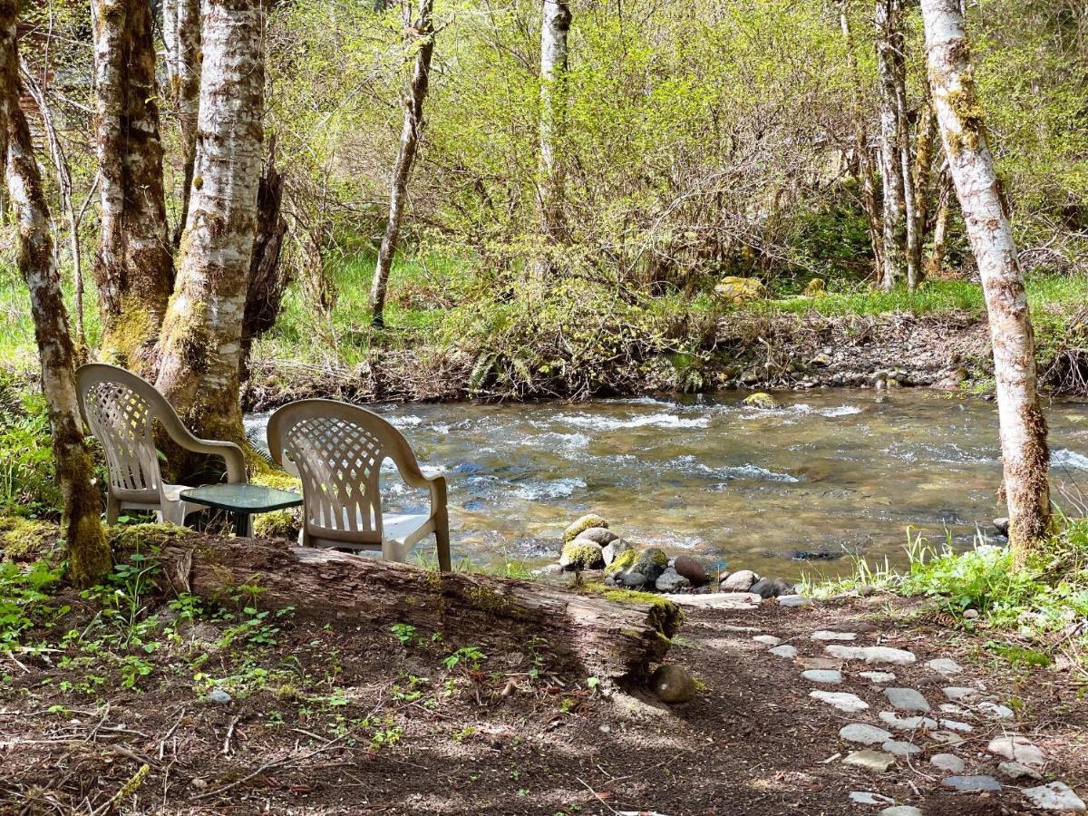 Mt Rainier Little Green Cabin On Big Creek! Ashford Exterior photo