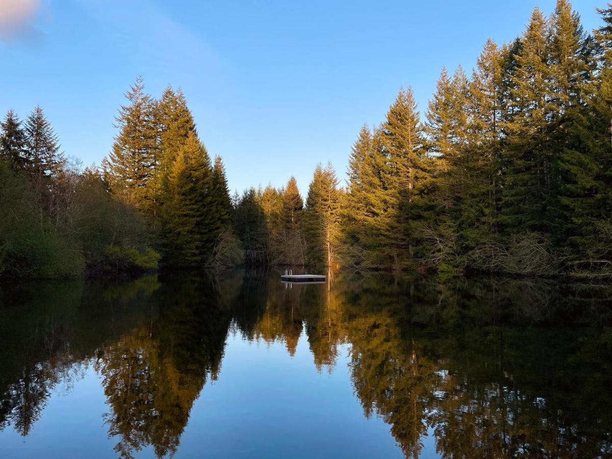 Mt Rainier Little Green Cabin On Big Creek! Ashford Exterior photo